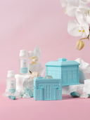 Nanyang Impression Joo Chiat Time Crystal Diffuser