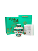 Lantern Essence 6-Piece Set